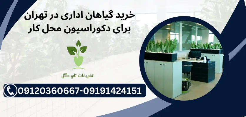 خرید گیاهان اداری در تهران برای دکوراسیون محل کار