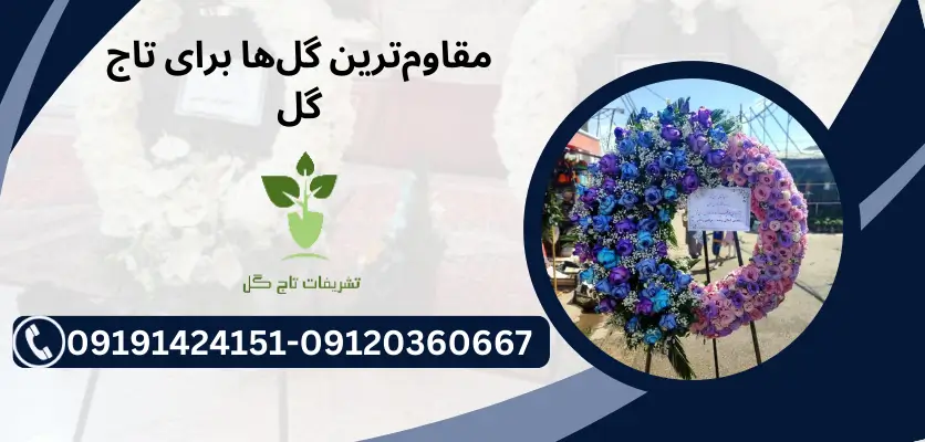 گل ماندگار برای تاج گل