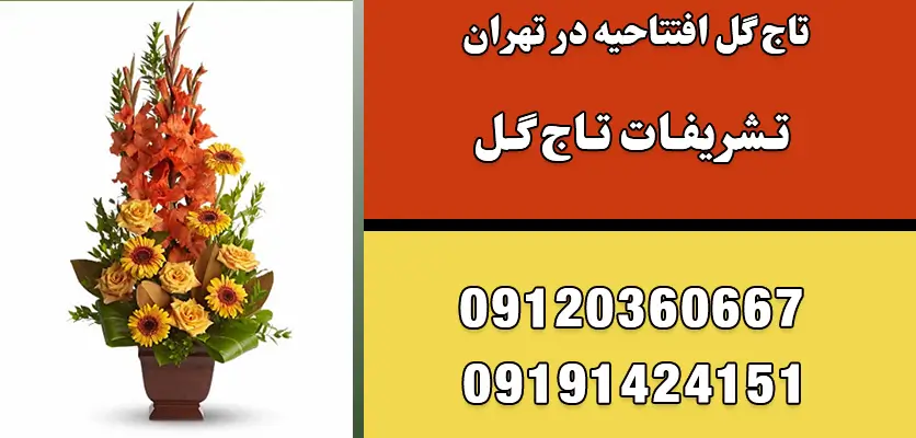 افزایش تمرکز با گیاهان